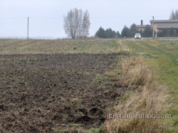 Sklypas Grūšlaukės kaime 25.4 arų ploto